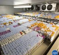 Cold Storage Solutions | SSG