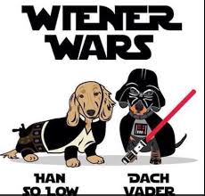 Star Wars Dachshunds Funny Dachshund Weiner Dog Dachshund