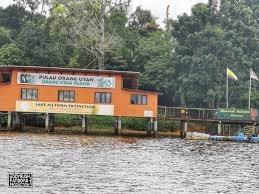 Seingat saya, betulkan saya kalau saya silap, bilangan orang utan yang ada di sebuah pulau di kawasan bukit merah perak malaysia ini hanya mempunyai tidak lebih dari 10 orang utan sahaja. Orang Utan Island Bukit Merah Laketown Resort Malaysia