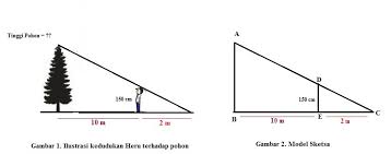 Seperti tes kepribadian kali ini yang mengharuskan anda untuk bisa jeli melihat berapa banyak binatang yang terdapat dalam gambar di bawah ini. Heru Ingin Mengetahui Tinggi Sebuah Pohon Ia Berdiri Di Samping Pohon Sehingga Ujung Bayangannya Brainly Co Id
