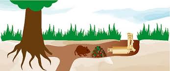 The oval around their name protected them. Fusil A Taupes