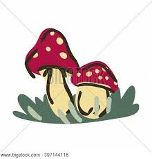 Cute Cartoon Vector Photo Free Trial Bigstock Projenizin bütçesine uygun fiyatlı, yüksek kaliteli cartoon toadstool görselleri, illüstrasyonları ve vektörleri. bigstock