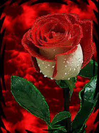 Https Encrypted Tbn0 Gstatic Com Images Q Tbn And9gcqpre G88xkngovae894tgs1rkqgil0pyboqw Usqp Cau