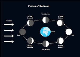 Moon Phases Free Moon Phases Templates