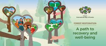 Celebrate every day as earth day earth day is an international celebration that takes place around the world on 22. International Day Of Forests 2021 European State Forest Association