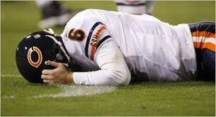 Chicago Bears 2010 Season Preview The New York Times