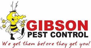 Maybe you would like to learn more about one of these? Top 10 Best Pest Exterminators In Black Mountain Nc Angi Angie S List