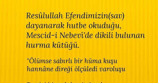 Lal Adli Kullanicinin Bazi Kelimeler Cok Guzel Panosundaki Pin Edebiyat Egitim Bilgi