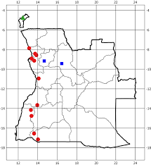 Image result for Pogonospermum subsessile