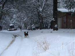 Nevada En Bavispe Sonora Mx Living In Mexico Mexico United States