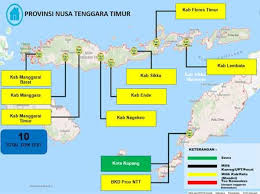 Pin Di Soal Cpns