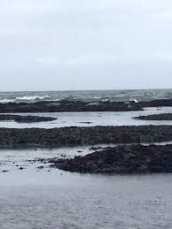 This picturesque setting is ideal for sunbathing, fishing and. Half Moon Bay Tide Pools Steemit