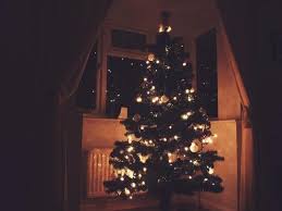 I'm not taking down the christmas tree for @denisemarieangelina (sorry this took so long to get to you! Winter Break Rocket Reporter