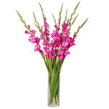 Our dispensary is located near you in pueblo west, co. Flower Delivery Pueblo Nuevo Online Florist Pueblo Nuevo