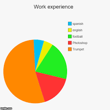 Work Experience Imgflip