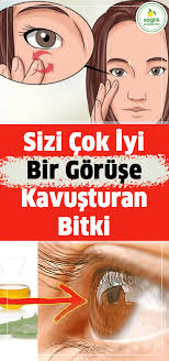Sizi Cok Iyi Bir Goruse Kavusturan Bitki Stay Young Health Eyes