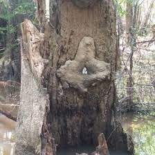 Frank Register Frankford77 - Profile Pinterest