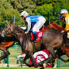 Over 146 trivia questions and answers about melbourne cup in our australia category. Melbourne Cup Quiz