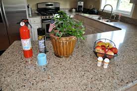 What about bed bugs in the kitchen sink? Bed Bugs Portland Maine Maine Bed Bugs And Pest Control Maine Bed Bugs And Pest Control