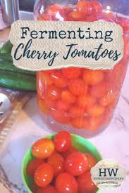 Fermented Cherry Tomatoes Lacto Fermented Tomatoes How To Ferment Cherry Or Grape Tomatoes Fermented Fruit Recipe Fermentation Recipes Fermented Vegetables Recipes