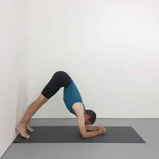 How To Do Sirsasana Headstand Step By Step Yoga Selection Headstand Yoga Progress How To Do Yoga