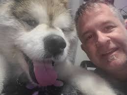 My sweet baby girl, just went over the rainbow bridge an hour ago. My soul  hurts.