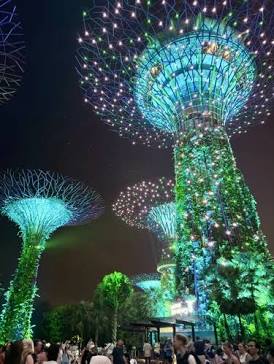 Don't Rush Off After Your Day Trip! Visit Singapore's Supertree ...