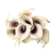 Berry toned bouquet, blush and marsala, warm purple. 9xpu Artificial Flower Calla Lily Bouquet Wedding Floral Decor White Purple Buy At A Low Prices On Joom E Commerce Platform
