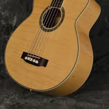 Michael Kelly Phoenix 5 Acoustic Bass Natural Gloss Flamed Maple 5 String  Dragonfly w Hard case