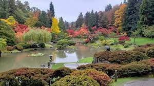 Seattle Japanese Garden Seattle Japanese Garden Japanese Garden Outdoor