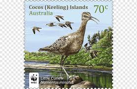 As an artist, the best way to win job contracts is to show people your work and let the work speak for itself. Postage Stamps Australia Mail Rubber Stamp Stamp Collecting Wanted Stamps Textile Fauna Wildlife Png Pngwing