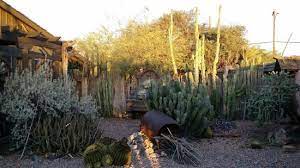 Promenade parkway, and is convenient to hotels, shopping, movie visit your local olive garden located at casa grande, arizona for a hearty italian meal. Bedillon S Restaurant Cactus Garden Picture Of Bedillon S Restaurant Cactus Garden Casa Grande Tripadvisor