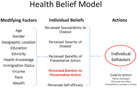 Health Belief Model Components And Linkages The Major Constructs Of The Download Scientific Diagram