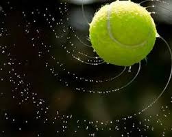 Schimbări la federaţia de tenis. Cauti Informatii Despre Federatia Romana De Tenis 7 Articole In Manager Ro
