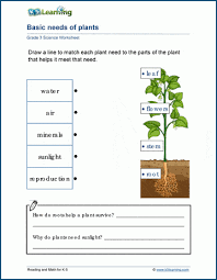 needs of living things worksheets k5 learning