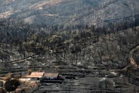 Check spelling or type a new query. Incendio De Monchique Destruiu 27 Mil Hectares De Floresta E Mato Incendios Florestais Publico