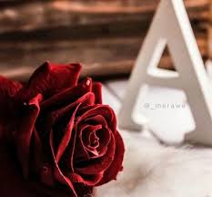 Get all kind of your name alphabets from here such as bracelet alphabets,chain. Pinterest Cikolatadenizi Floral Letters Alphabet Wallpaper Alphabet Letters Design