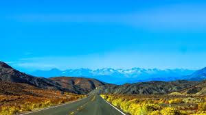 To be consciously aware of it, to experience love in ourselves and others, is the meaning of life. Relationship Killers Part 5 Love Is A Journey Not A Destination The Love Multiverse