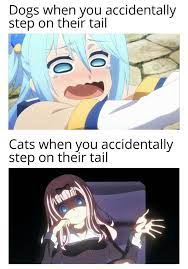 Pin By Fominha On Anime Memes Anime Memes Funny Anime Funny Funny Memes