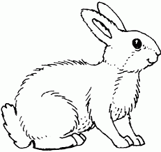 Displaying 151 rabbit printable coloring pages for kids and teachers to color online or download. Rabbit Coloring Pages Coloring Home