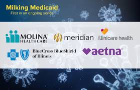 If you might have illinois power of attorney for healthcare 2020 form. Illinois Medicaid Companies Rake In Record Profits From Pandemic Better Government Association