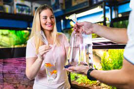 Is It A Good Idea To Buy Fish At A Pet Store?