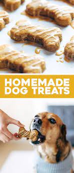 Homemade Dog Treats Recipe Dog Biscuit Recipes Healthy Dog Treats Homemade Dog Treats Homemade Recipes