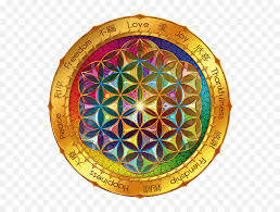 Find aesthetic flower wallpapers hd for desktop computer. Flower Of Life Wallpaper Picserio Mandala De La Vida Hd Png Flower Of Life Png Free Transparent Png Images Pngaaa Com