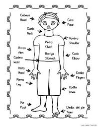The hard parts inside a human or animal that make up its frame. Spanish And English Body Parts By Lovely Jubblies Teach Tpt