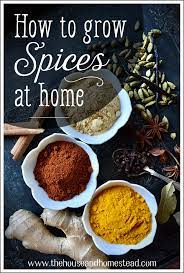 Why were europeans importing so much spice from the east in the past when their food is bland till date? How To Grow Spices At Home The House Homestead