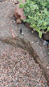 Image result for site:byggahus.se markduk under grus uppfart