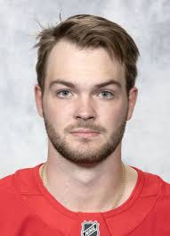 Grand Rapids Griffins 2025-26 hockey player register at Hockeydb.com