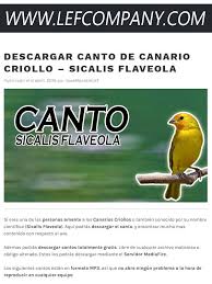 La consellera de sanidad, ana barceló, anunció el pasado mes de marzo la creación de este pasaporte, meramente informativo, que contará con los datos relativos a la vacuna recibida. Como Hacer Posts Facebook
