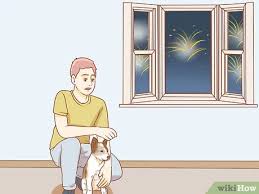 Diet can promote or hinder a healthy smile. 3 Simple Ways To Boost Your Dog S Immune System Wikihow Pet